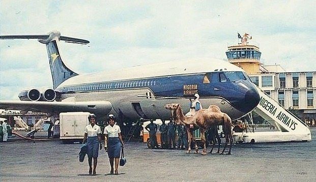 A Nigeria Airways airplane is parked on the tarmac near a mobile staircase labeled "Nigeria Airways." A camel is being led by a person close to the aircraft, creating a striking and unusual scene. In the foreground, two flight attendants walk side by side, dressed in white shirts and blue skirts. The background features an airport control tower and a building, adding context to the location. The image captures a rare moment of cultural and aviation intersection.