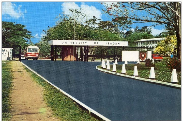 Main entrance of the University of Ibadan on a sunny day, featuring a prominent sign with the university's name, a paved road lined with white traffic cones, and a red and white bus approaching from the left. Trees and a building are visible in the background under a partly cloudy sky.